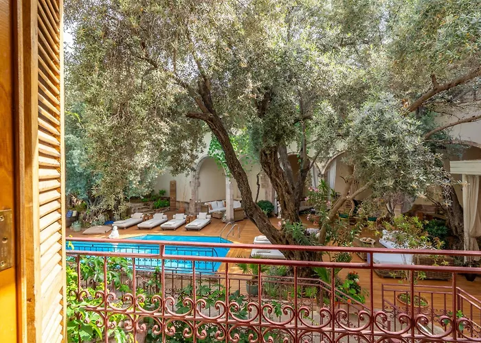 Hotel Jade (adults Only)