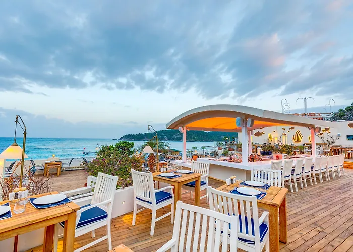 Hotel Jade (adults Only)