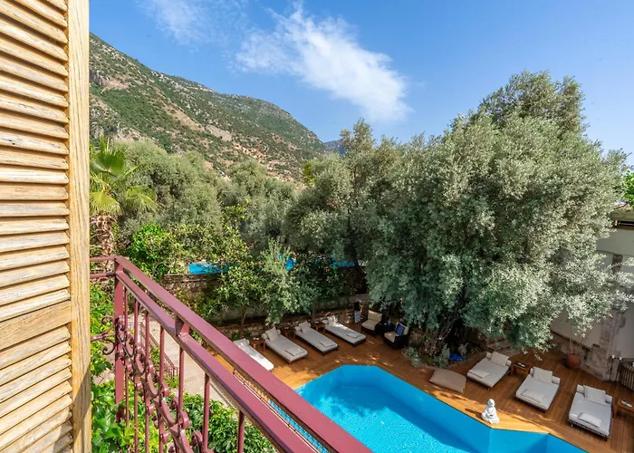 Jade (adults Only) 2*