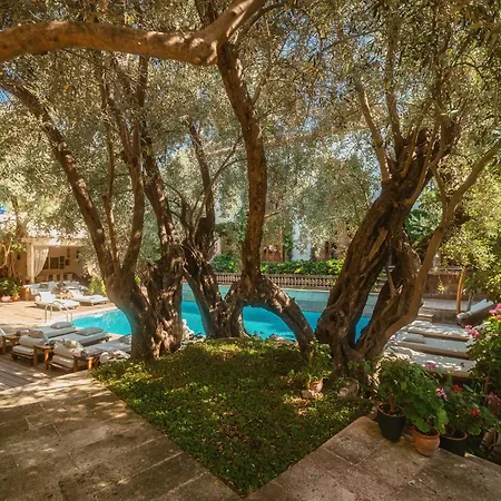 Jade (adults Only) 2* Oludeniz