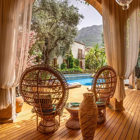 Jade (adults Only) 2*