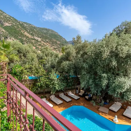 Jade (adults Only) 2*