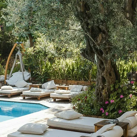 Hotel Jade (adults Only) 2*